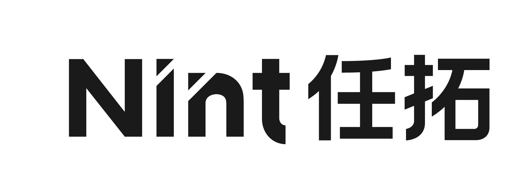 Nint Logo